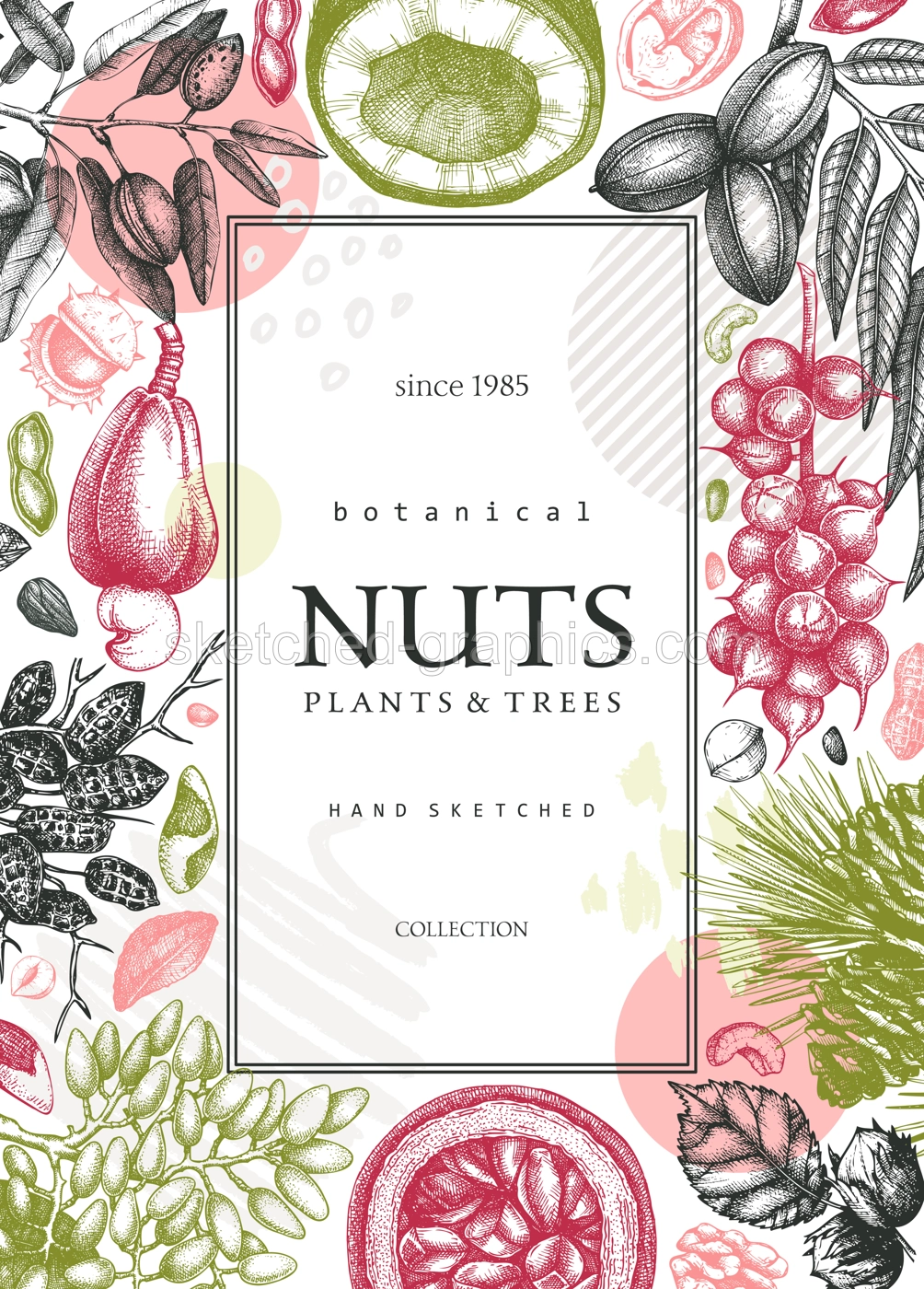 Vector card banner in college style. Vintage nuts sketched frame. Healthy food background with branches, plants, nutshells hand-drawings and abstract shapes. Creative botanical illustrations Illustration
